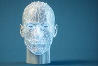 Rendered illustration of a human head in a wireframe style